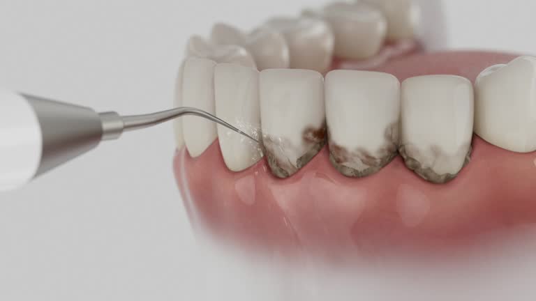 Reliable Dental contractor in Port Huron, MI by Dentist Open Now
